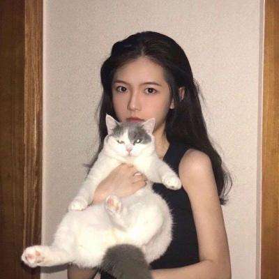 任务反击手机版下载